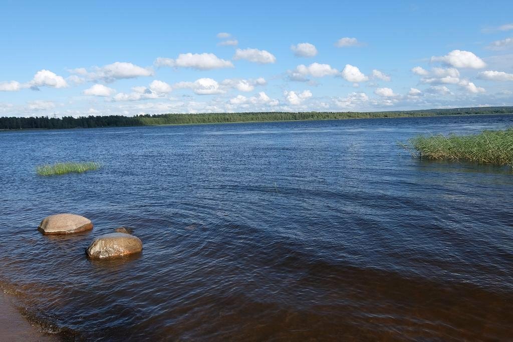 Гостиница Сампо Лосево-29